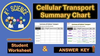 Preview of Summary Chart of Cell Transport with Answer Key