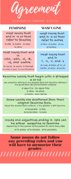 Preview of Summary of Spanish Article and Noun Agreement infographic