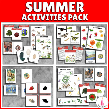 Preview of Summer Activities Montessori Bundle
