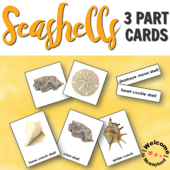 Preview of Montessori Ocean Theme Types of Seashells 3 Part Cards with Real Images