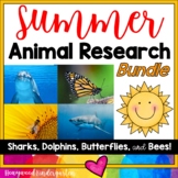 Summer Animal Research Bundle! Butterflies, Bees, Dolphins