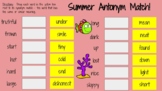 Summer Antonym Matching Activity - Google Slides