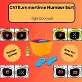 Summer Base Ten Number Matchup Numbers 1-20: CVI, Low Visi