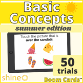 Summer Basic Spatial Concepts, Summer Holiday Theme, Seaso