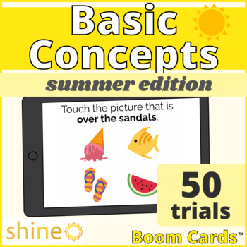 Preview of Summer Basic Spatial Concepts, Summer Holiday Theme, Seasonal Prepositions