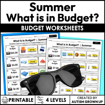 Preview of Summer Budget | Life Skills Worksheets for Special Education + ESY
