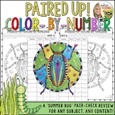 Summer Color by Number Review Pair Check Activity