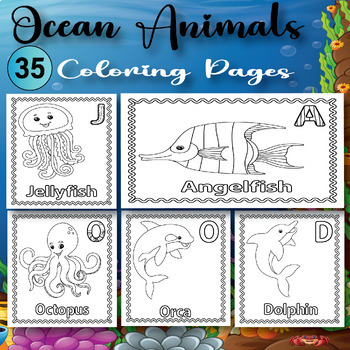 Ocean Animals Coloring Pages First Day ,Week Of Preschool or Pre-K ...