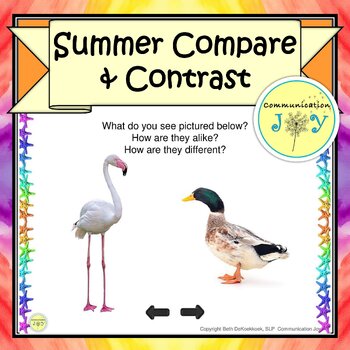 Preview of Summer Compare and Contrast
