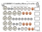 Summer / End of Year Counting Money Practice Worksheet