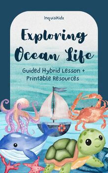 Preview of Summer Exploring Ocean Life Guided Activities