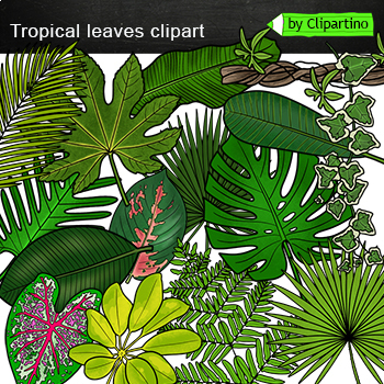 Summer Flowers Clip Art BUNDLE /Tropical flowers/ Garden /Tropical leaves