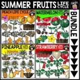 Summer Fruits Life Cycles Clip Art Bundle {Educlips Clipart}