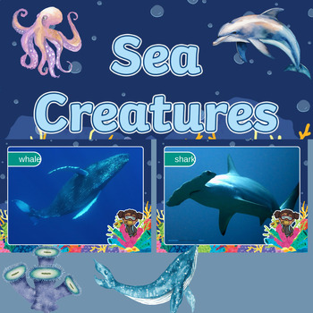 Preview of Summer Fun Activities  World Ocean & Sea Day photos Power-Point Slides