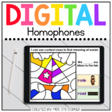 Summer Homophones Digital Activity | Distance Learning