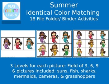 Preview of Summer Identical Color Matching 18 File Folder/ Binder Activities