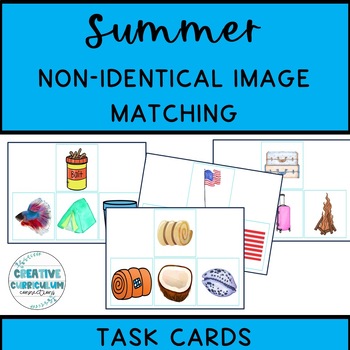 Preview of Summer Identifying Items Non Identical Picture To Picture Matching Task Cards