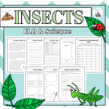 Spring - Insects: ELA & Science Activities by REDHEAD ED | TPT