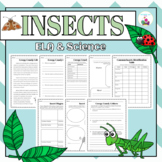 Insects: ELA & Science Activities