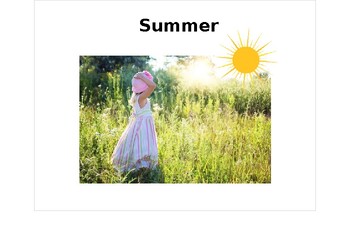 Preview of Summer Interactive Book