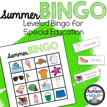 Preview of Summer Vocabulary Functional Language Bingo Game for Special Education Autism