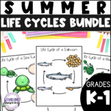 Summer Life Cycle Bundle - Watermelon, Salmon, Sea Turtle,