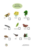 Summer Nature Hunt Activity Sheet | Year 1 | Hands-On Education