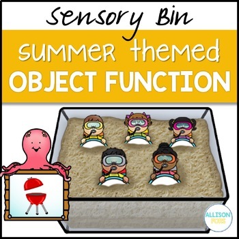 Preview of Summer Object Function and Vocabulary Speech Therapy - Sensory Bin Cards