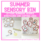 Summer Sensory Bin Activity Cards for Occupational Therapy