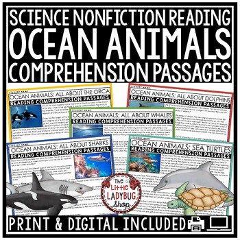 Preview of Shark Whale Summer Ocean Animals Reading Comprehension Passages 3rd 4th Grade