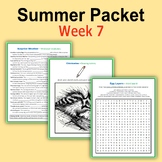 Summer Packet - Week 7