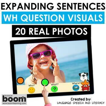 Preview of Summer Picture Scenes, WH Question Visuals, End of Year Speech Therapy