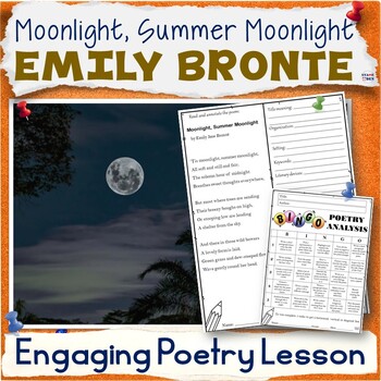 Preview of Summer Poem Lesson - Summer School Poetry Analysis Activities and Worksheets