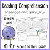 Summer Reading Comprehension Passages with Questions for S