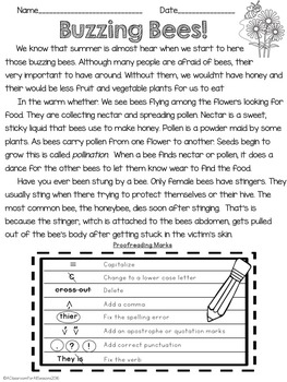 proofreading and editing practice summer themed by a classroom for all seasons