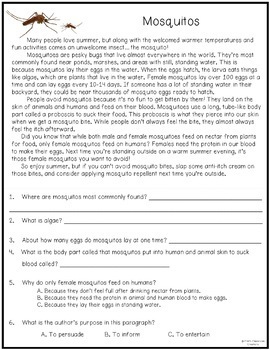 summer reading passages and comprehension questions tpt