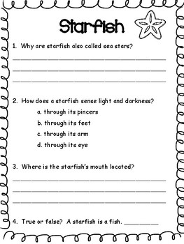 summer reading and comprehension packet for 2nd graders
