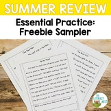 Summer Phonics Activities Decodable Passages FREEBIE