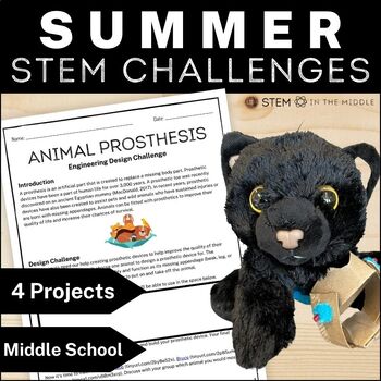 Preview of Summer STEM Challenges and Middle School STEM Projects as End of Year Activities