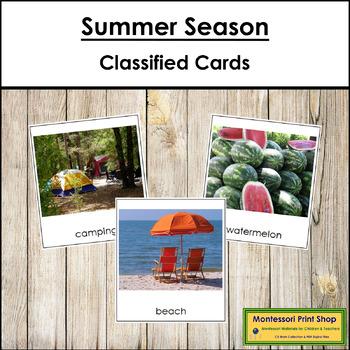 Preview of Summer Season - Montessori 3-Part Cards - Vocabulary, ESL