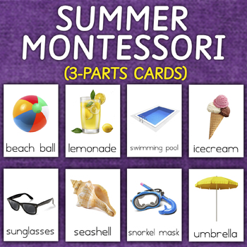 Preview of Summer Season Montessori 3-Part Cards | REAL IMAGES | Summer Season Flashcards