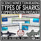 Summer Sharks Ocean Animals Reading Comprehension Passages