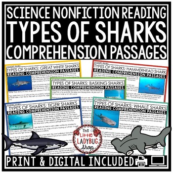Preview of Summer Sharks Ocean Animals Reading Comprehension Passages Shark Week
