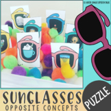 Summer Sunglasses Basic Concepts, Opposite, and Antonym Se