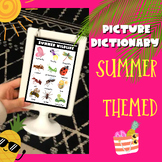 Summer Themed Picture Dictionary Cards for Mini Anchor Cha