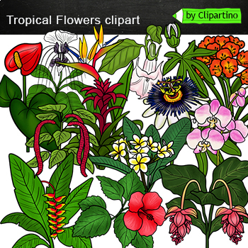 Summer Tropical Flowers Clip Art-Realistic summer flowers Clip Art