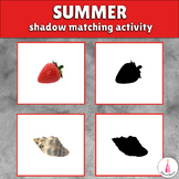 Summer Visual Discrimination Montessori Activity - Shadow 