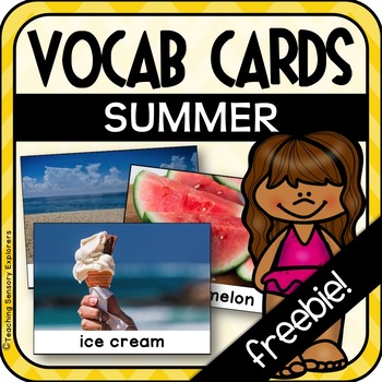 Preview of Summer Vocabulary Cards with photos
