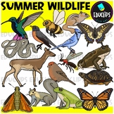 Summer Wildlife Clip Art Set {Educlips Clipart}