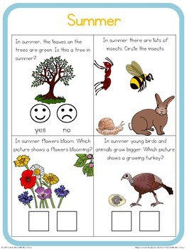 summer circle time questions by little blue orange tpt